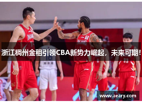 浙江稠州金租引领CBA新势力崛起，未来可期！