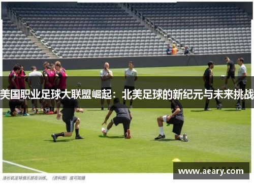 美国职业足球大联盟崛起：北美足球的新纪元与未来挑战
